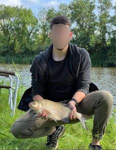 Common Bream