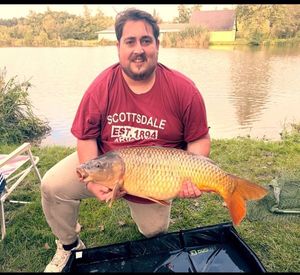 Common Carp