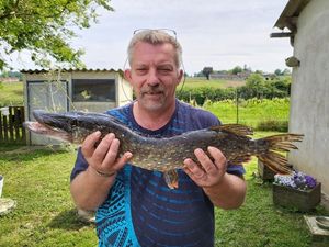 Northern Pike