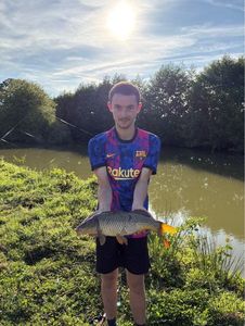 Common Carp