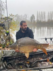 Mirror Carp