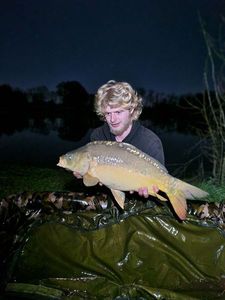Mirror Carp