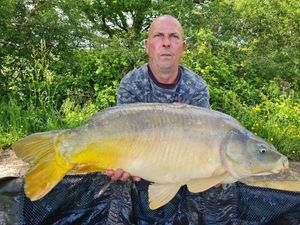 Mirror Carp