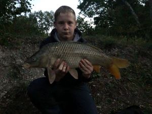 Common Carp