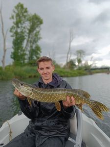 Northern Pike