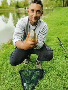 Tench
