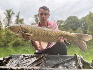 Grass Carp