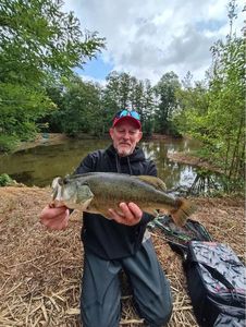 Largemouth Bass