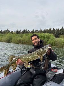 Northern Pike