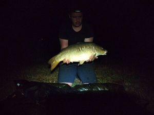 Mirror Carp
