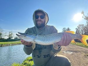 Northern Pike