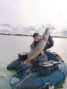 Northern Pike