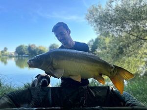 Mirror Carp