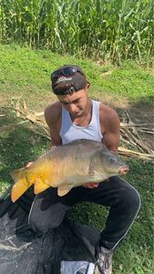 Leather Carp