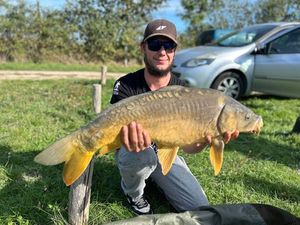 Mirror Carp