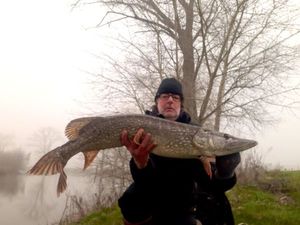 Northern Pike