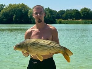 Common Carp