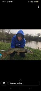 Northern Pike