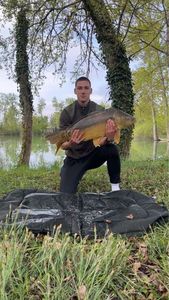 Mirror Carp