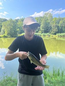 Smallmouth Bass