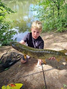 Northern Pike
