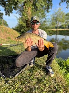 Crucian Carp