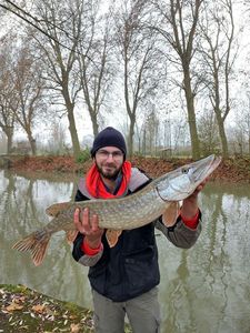 Northern Pike