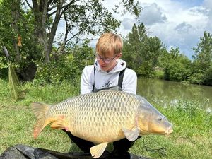 Common Carp