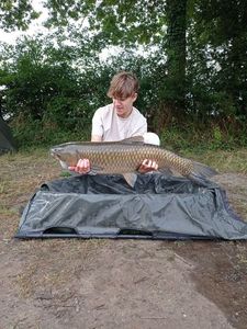 Grass Carp