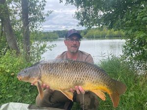 Common Carp