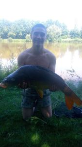 Common Carp