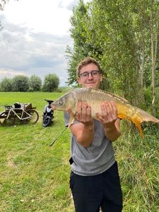 Mirror Carp