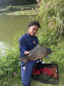 Common Carp