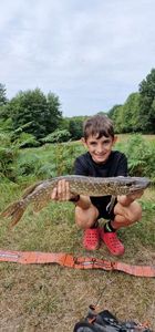 Northern Pike