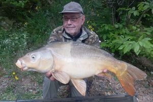 Mirror Carp