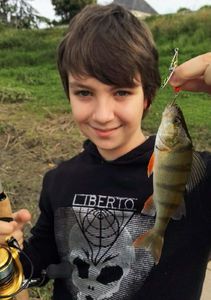 European Perch
