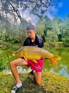 Common Carp