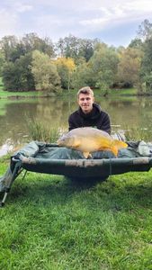 Mirror Carp