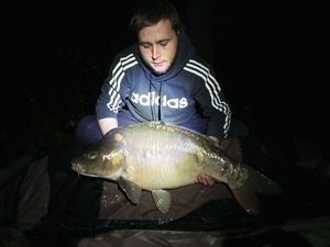 Mirror Carp