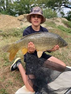 Common Carp