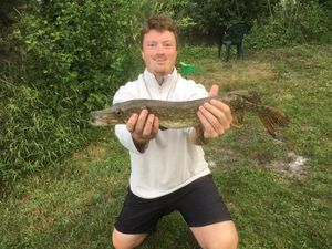 Northern Pike