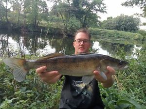 Zander
