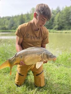 Common Carp