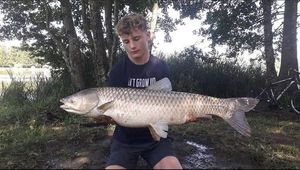 Grass Carp