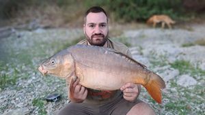 Mirror Carp