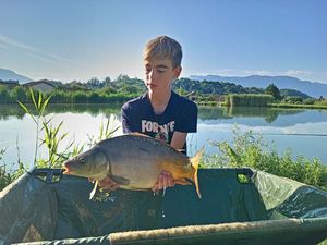 Mirror Carp