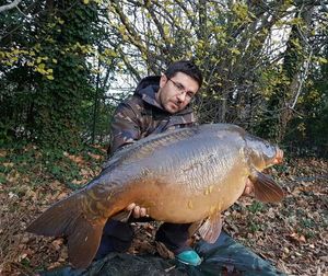 Mirror Carp
