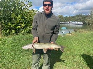 Northern Pike