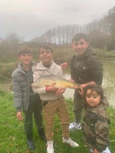 Mirror Carp