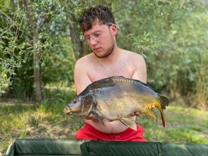 Mirror Carp